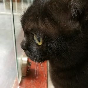 Meet your Posher, Min